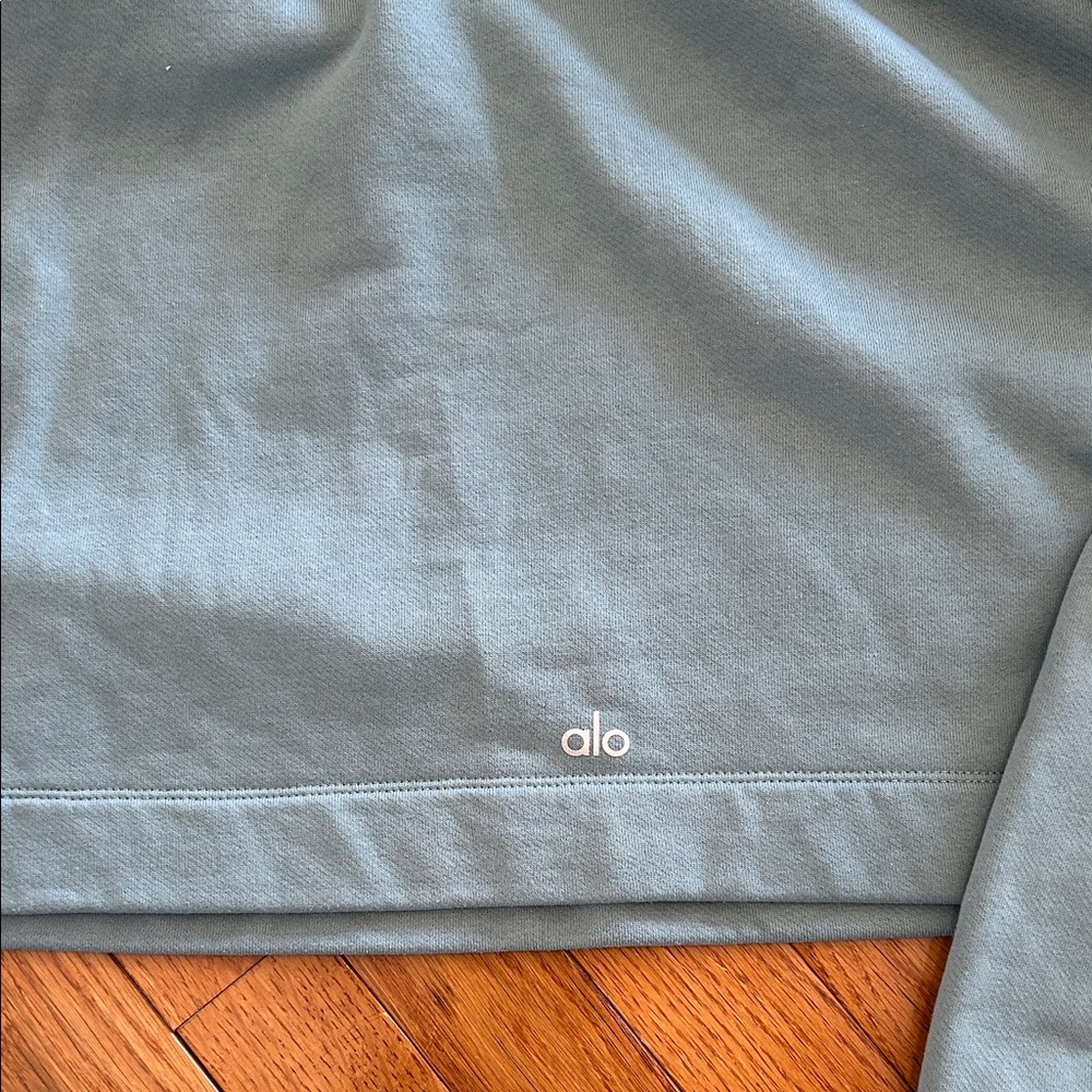 ALO Yoga Bae Cropped Hoodie in Seagrass - Picture 8 of 8